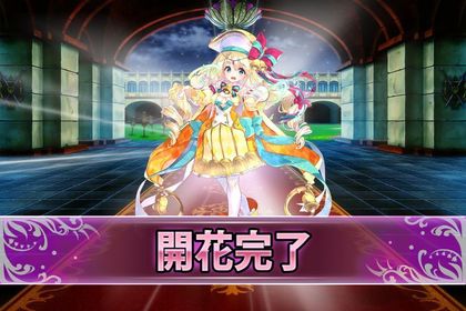 161109サンダーソニア開花.jpg