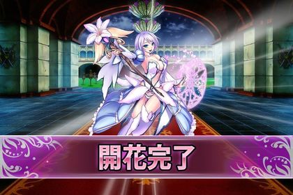161112リューココリーネ(開花).jpg
