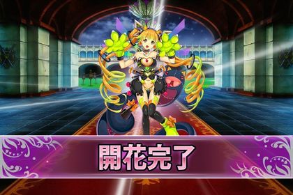 161205ホオズキ(開花).jpg