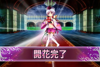 170104サオトメバナ(開花).jpg