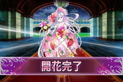 170214オシロイバナ(開花).jpg