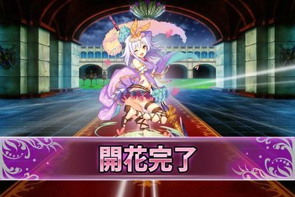17021アンスリウム(開花).jpg