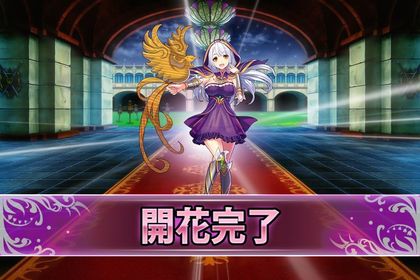 170424アカンサス(開花).jpg