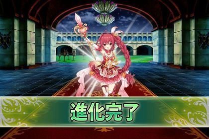 170529パキラ.jpg