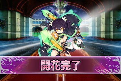 170606オリーブ(開花).jpg