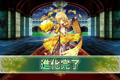 170627カレンデュラ.jpg