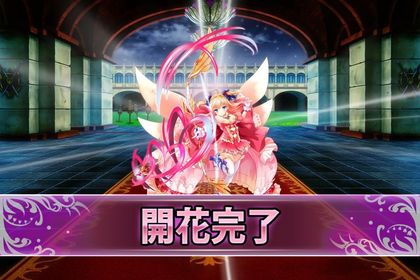 170703ストレリチア(開花).jpg