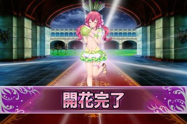 180910コマチソウ(開花).jpg
