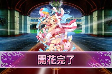 180910ススキ(水着)開花.jpg
