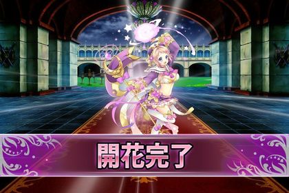170315ジャーマンアイリス(開花).jpg
