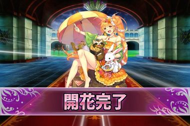 181009エピデンドラム(開花).jpg