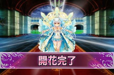 181009シロタエギク(開花).jpg