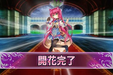 181009ライオンゴロシ(開花).jpg