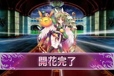 190128サンカクサボテン(ハロウィン開花).jpg