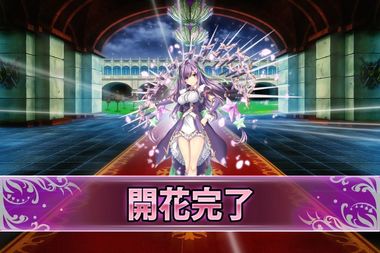 190423ペンタス(開花).jpg